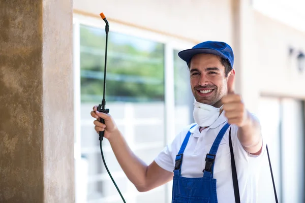 Truckee Wasp Removal