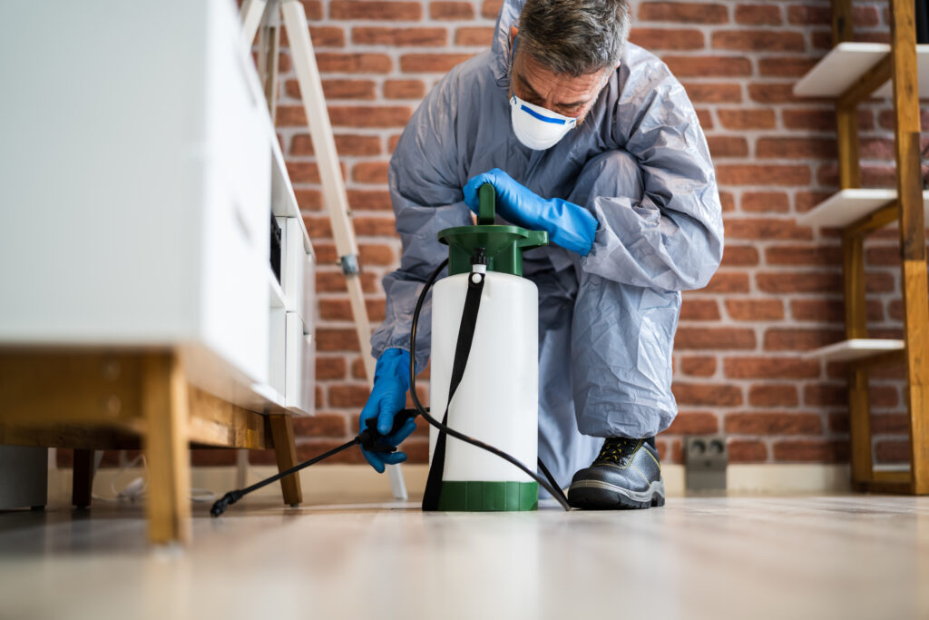 Truckee Spider Control
