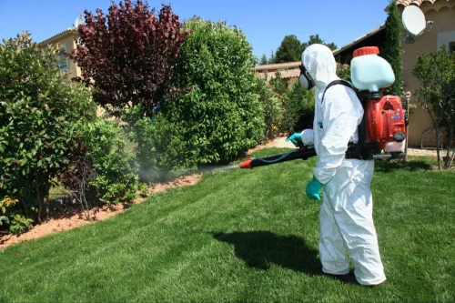 Truckee Mosquito Control