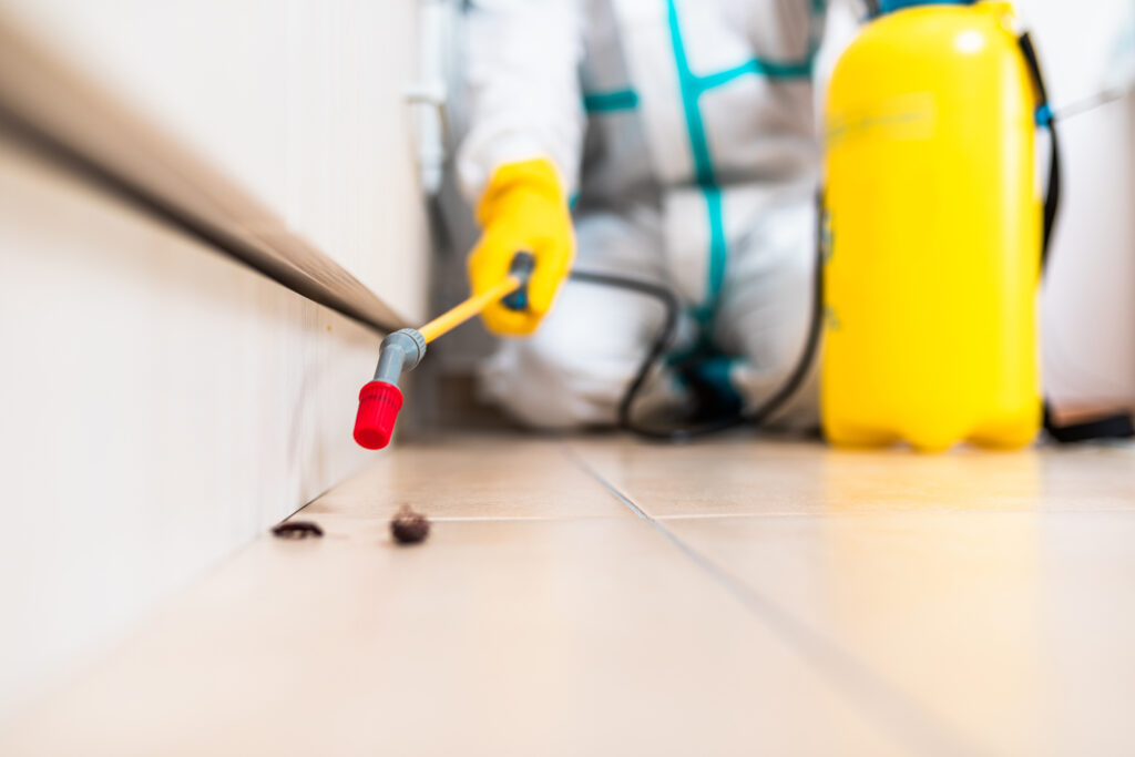 Truckee Cockroach Experts