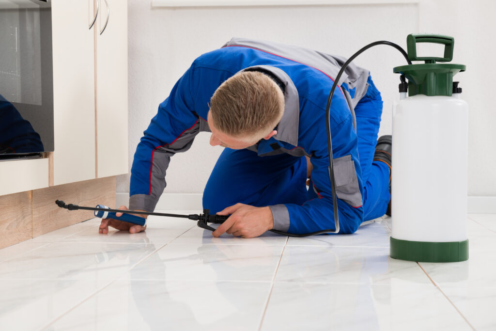 Truckee Ant Control Xperts