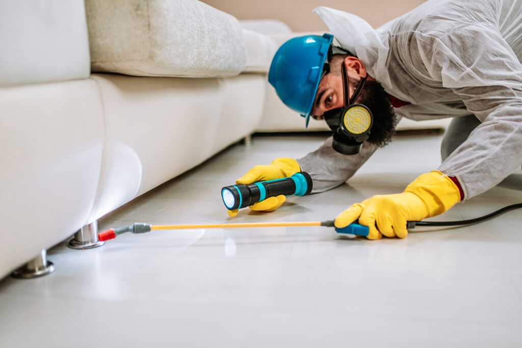 Truckee Termite Control