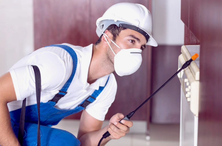 Truckee local pest services