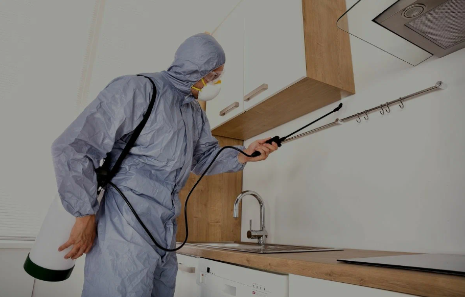 Truckee pest managment