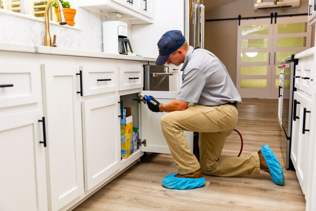 Truckee xpert pest management